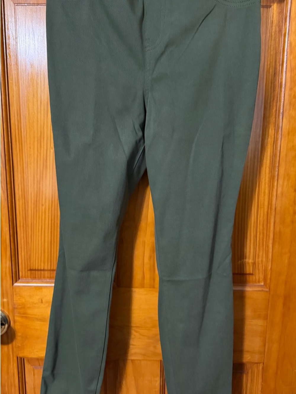 Time and Tru Olive Green Men's Chinos